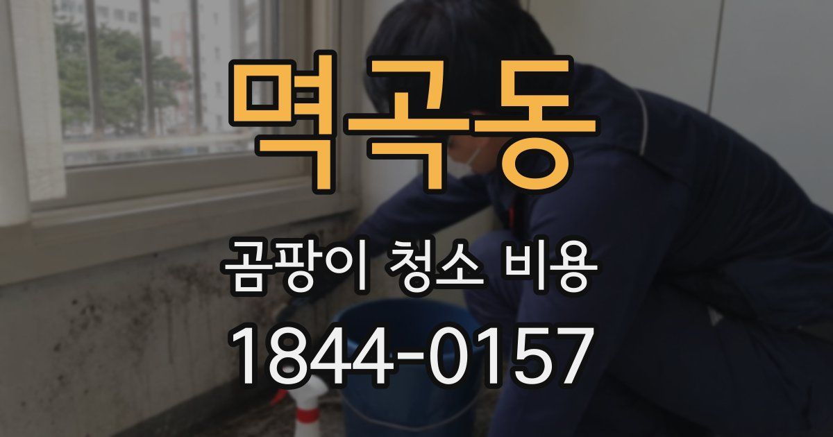 멱곡동 곰팡이 청소 비용