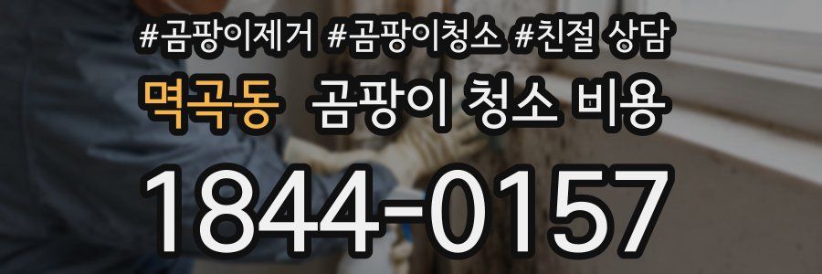 멱곡동 곰팡이 청소 비용