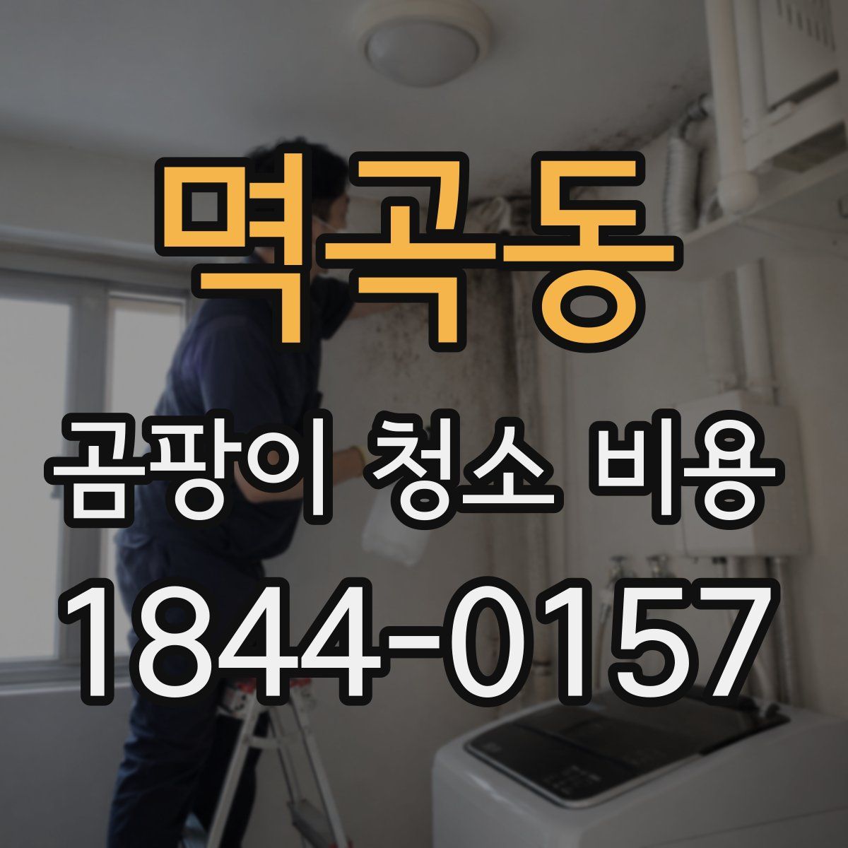 멱곡동 곰팡이 청소 비용