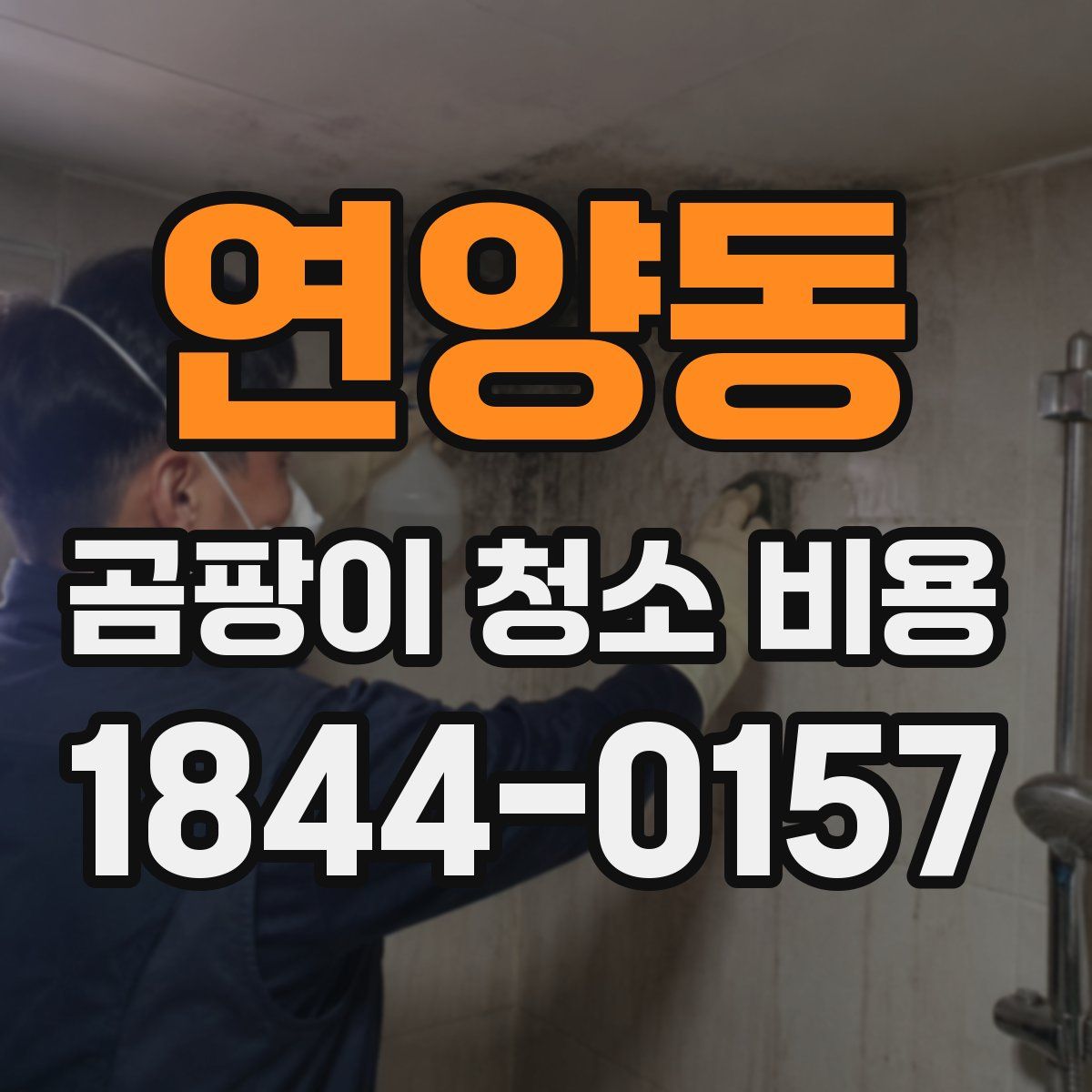 연양동 곰팡이 청소 비용