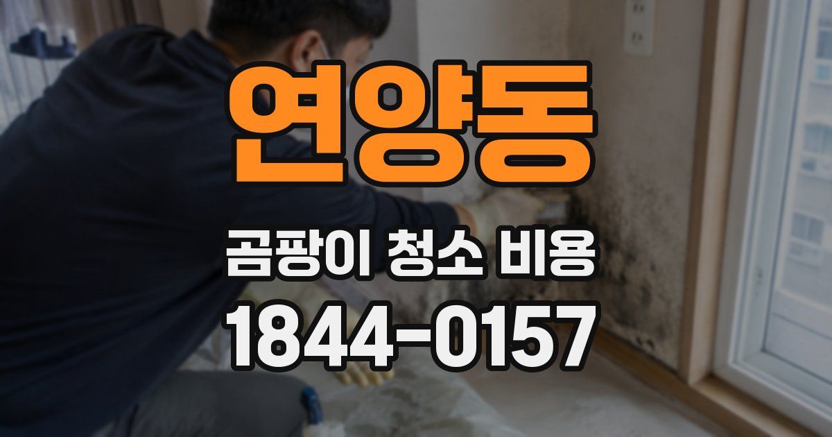 연양동 곰팡이 청소 비용