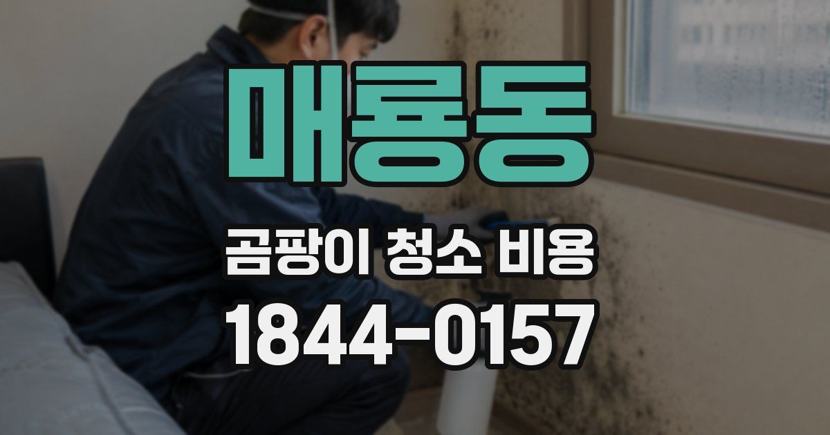 매룡동 곰팡이 청소 비용