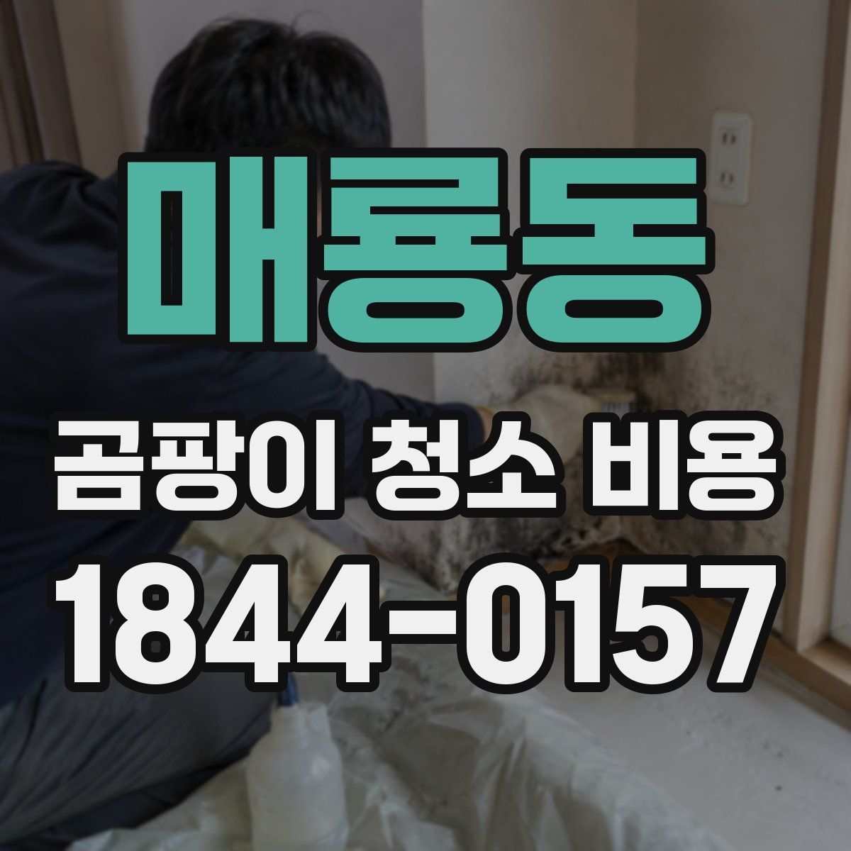 매룡동 곰팡이 청소 비용