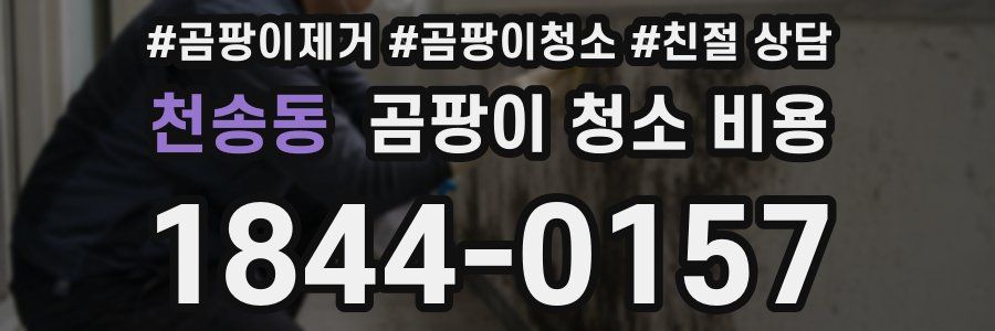 천송동 곰팡이 청소 비용