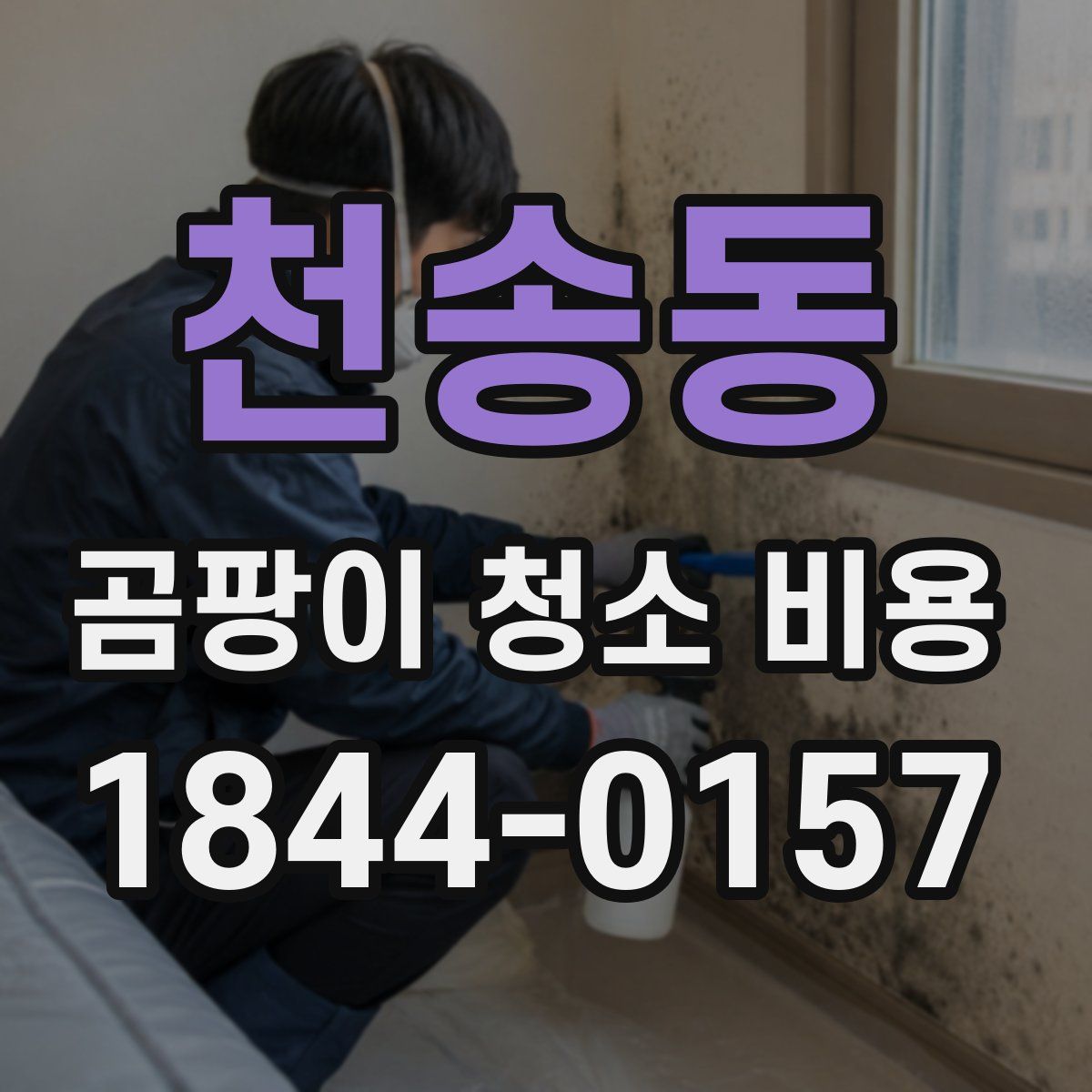 천송동 곰팡이 청소 비용