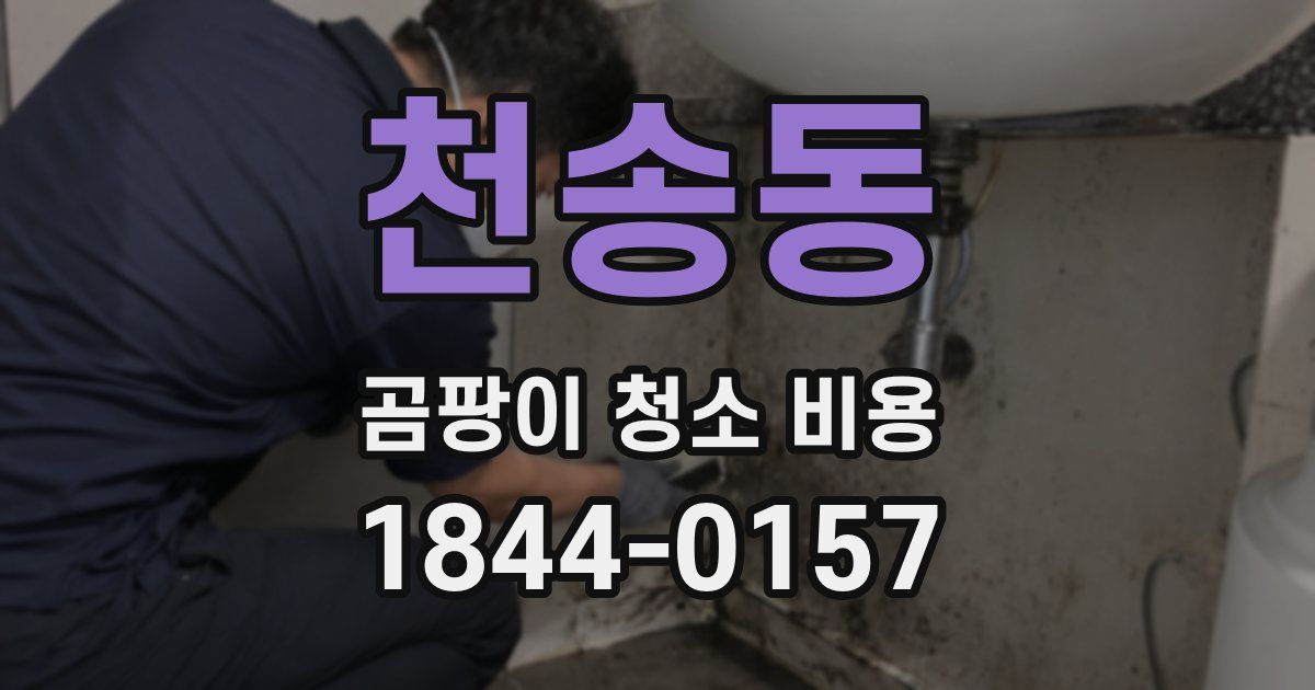 천송동 곰팡이 청소 비용
