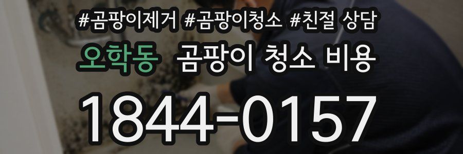 오학동 곰팡이 청소 비용