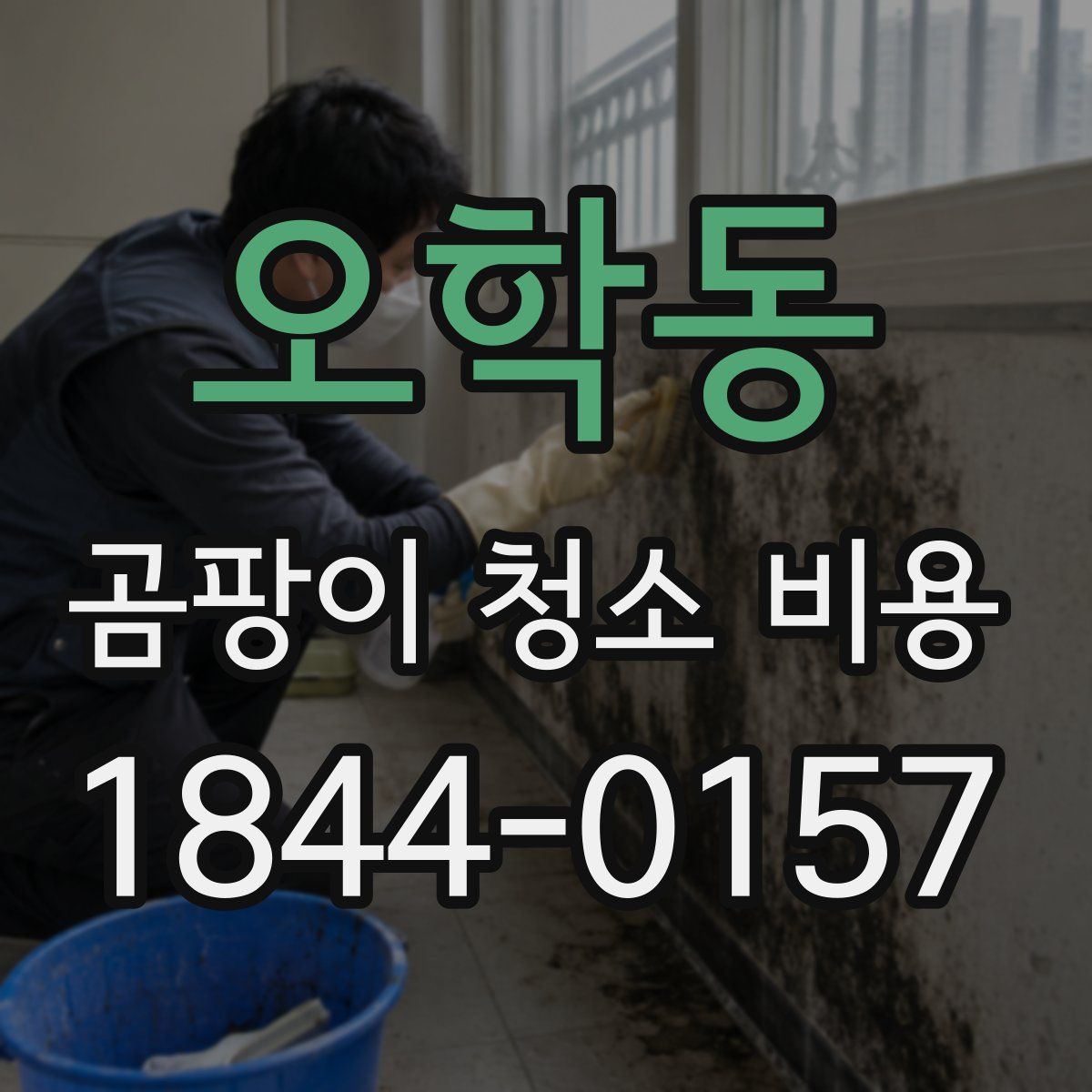 오학동 곰팡이 청소 비용