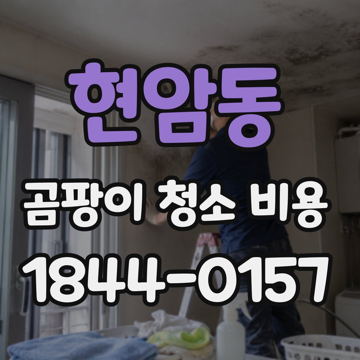 현암동 곰팡이 청소 비용