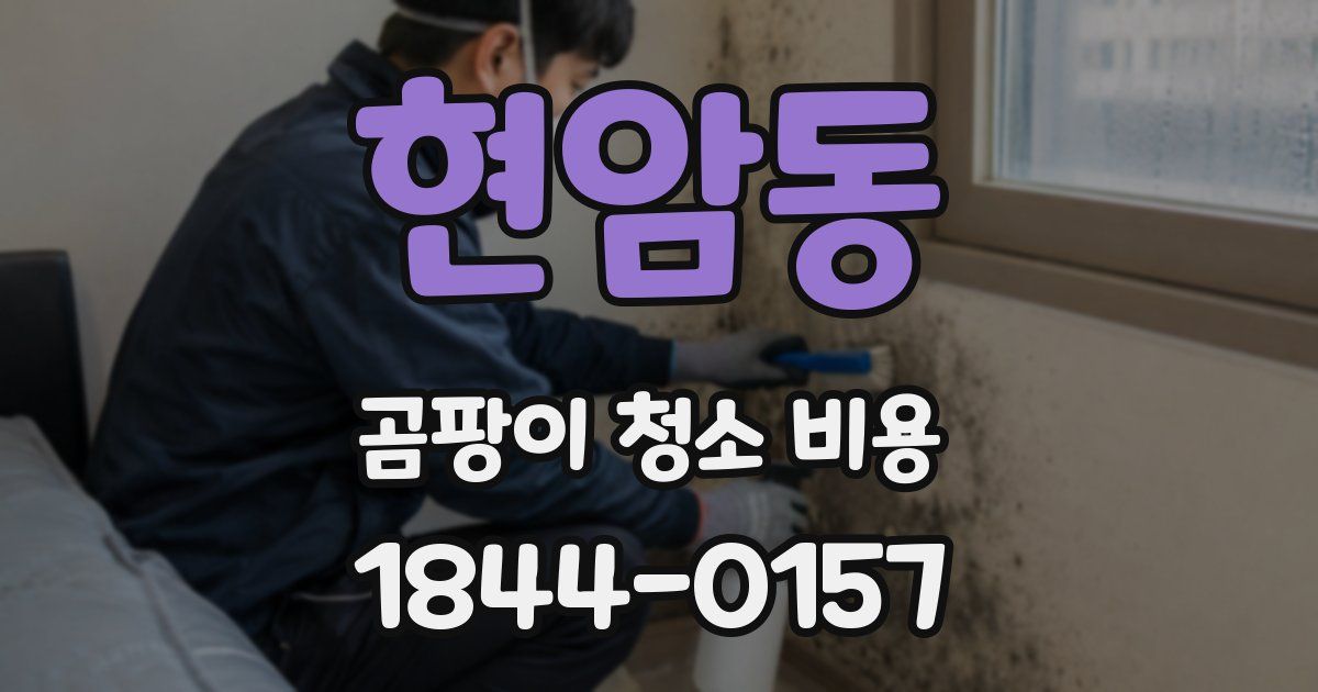 현암동 곰팡이 청소 비용
