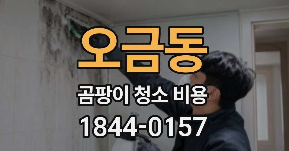 오금동 곰팡이 청소 비용