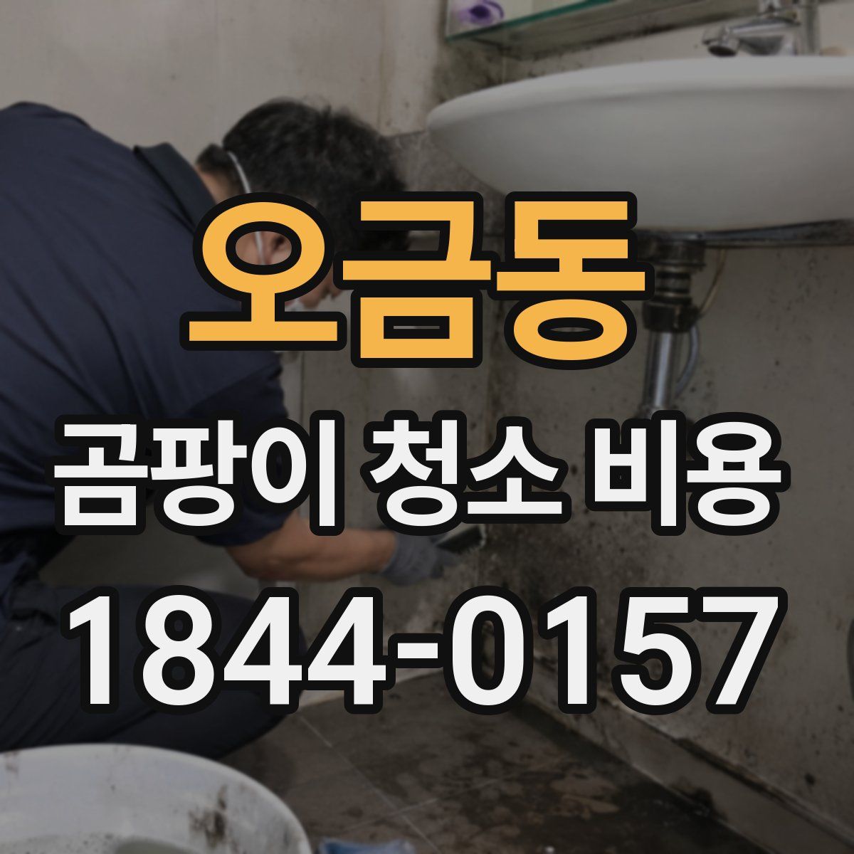오금동 곰팡이 청소 비용