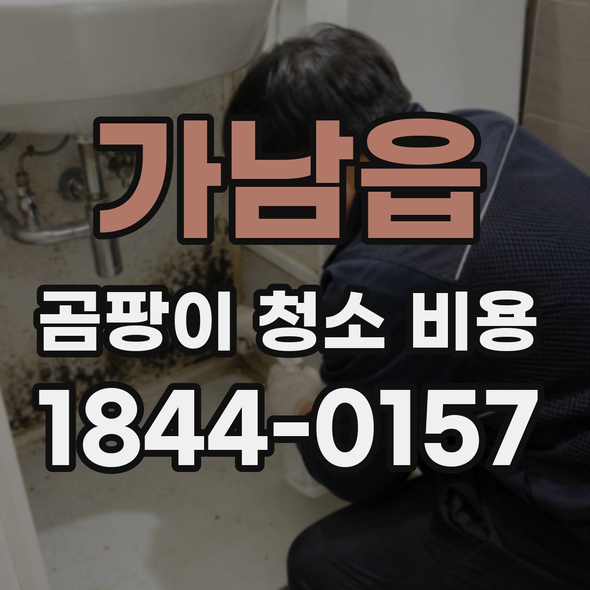가남읍 곰팡이 청소 비용