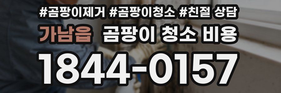 가남읍 곰팡이 청소 비용