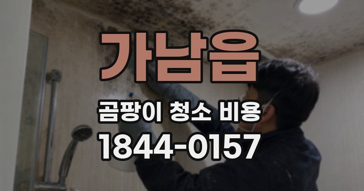 가남읍 곰팡이 청소 비용