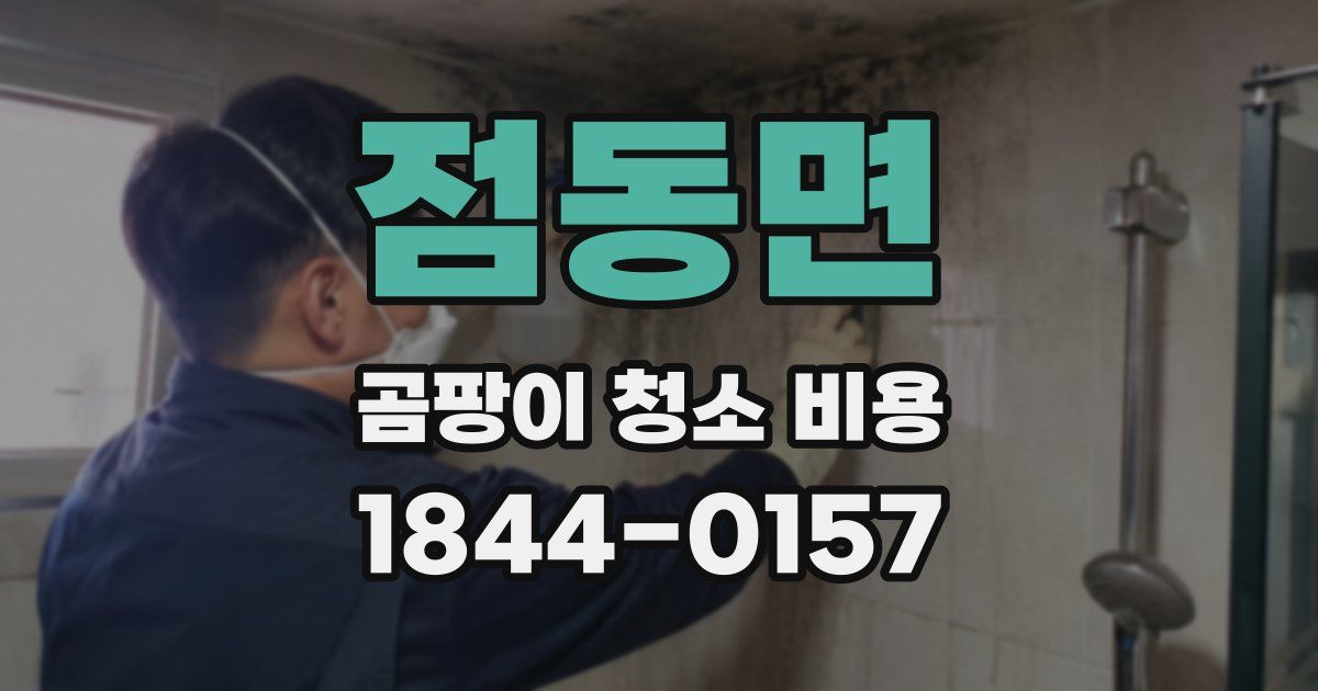점동면 곰팡이 청소 비용