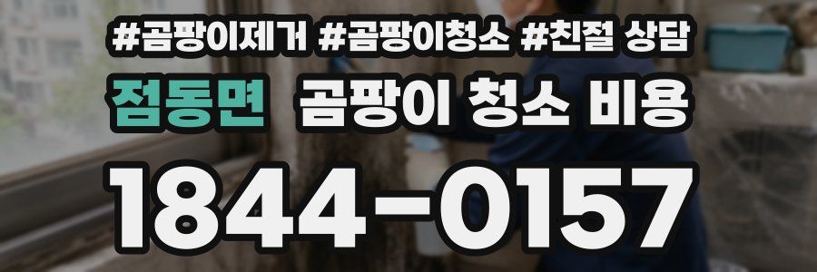 점동면 곰팡이 청소 비용