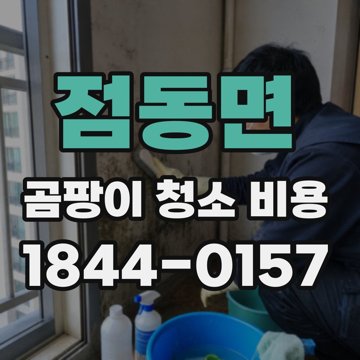 점동면 곰팡이 청소 비용