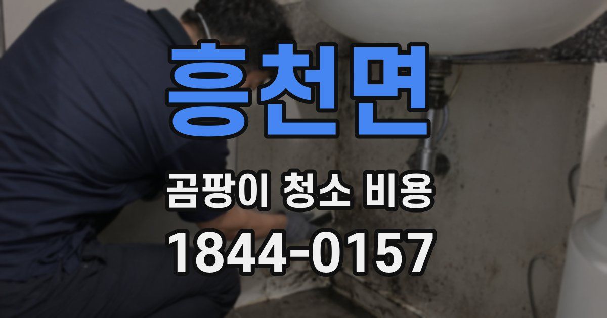 흥천면 곰팡이 청소 비용