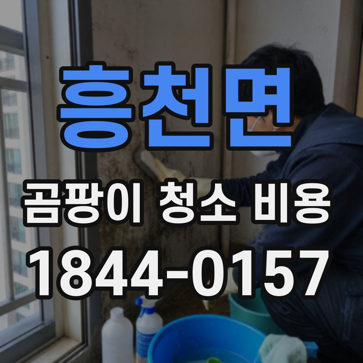 흥천면 곰팡이 청소 비용