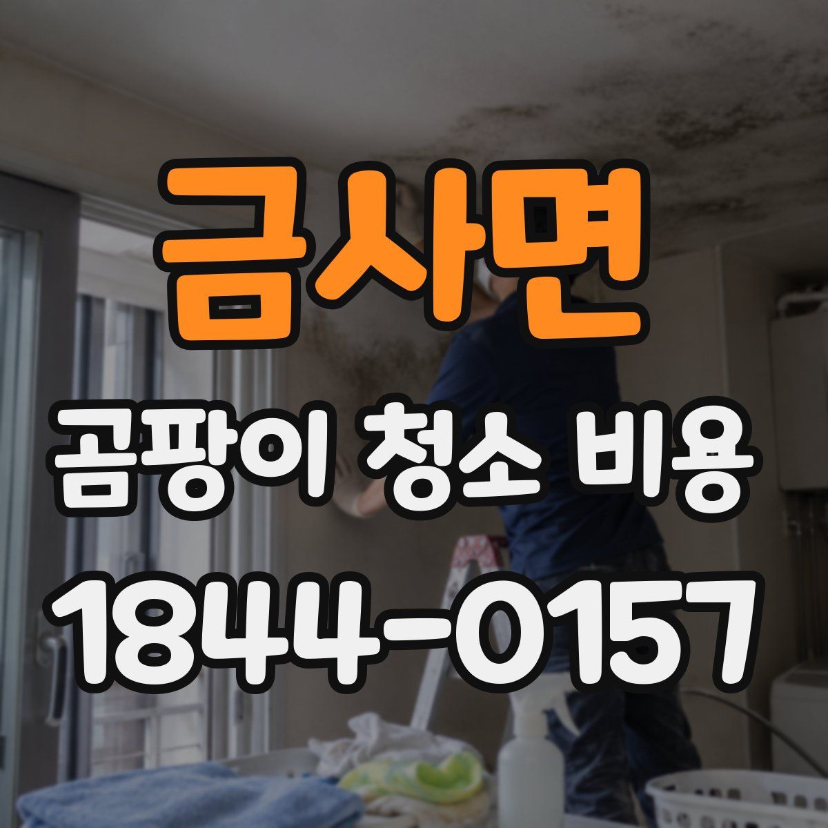 금사면 곰팡이 청소 비용