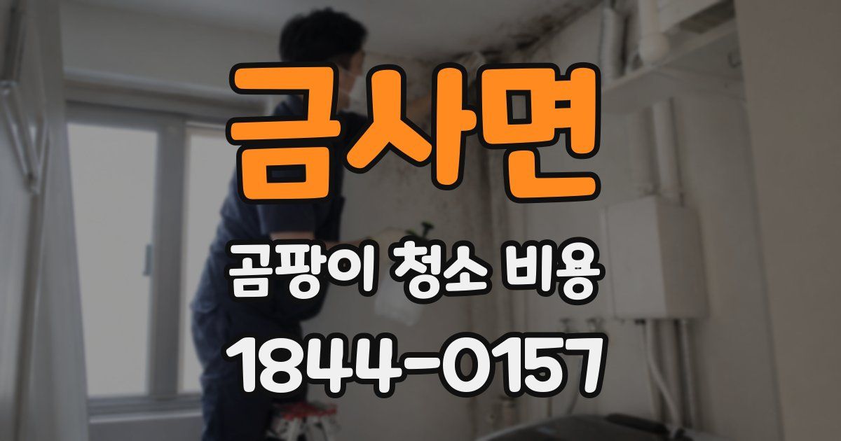 금사면 곰팡이 청소 비용