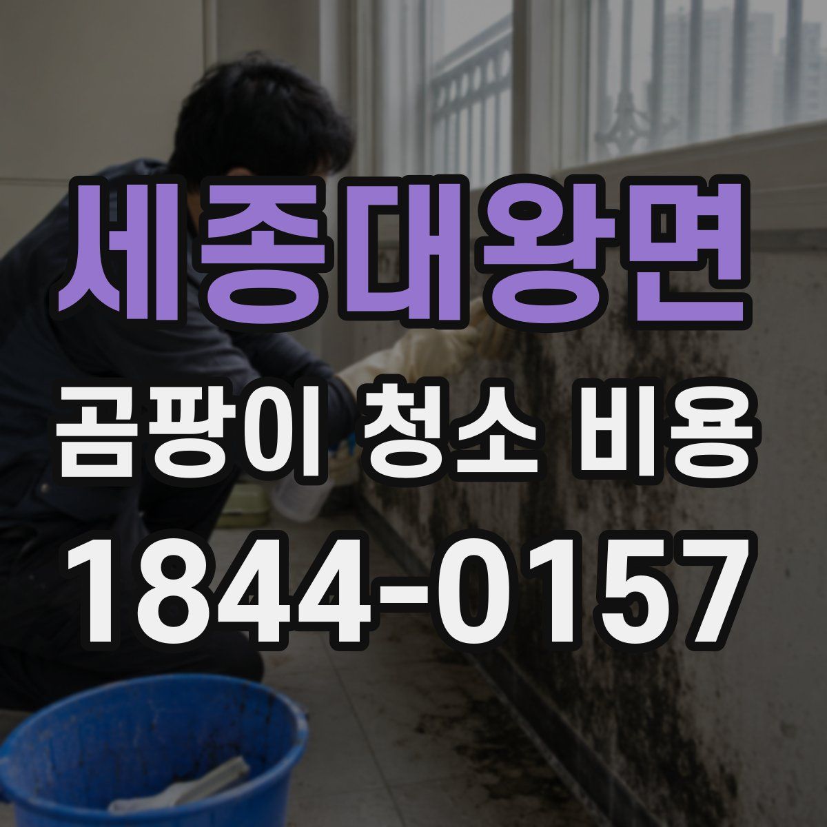 세종대왕면 곰팡이 청소 비용