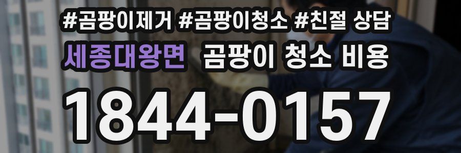 세종대왕면 곰팡이 청소 비용