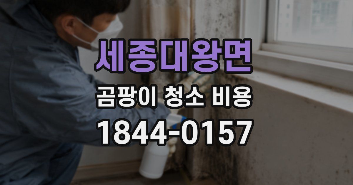 세종대왕면 곰팡이 청소 비용