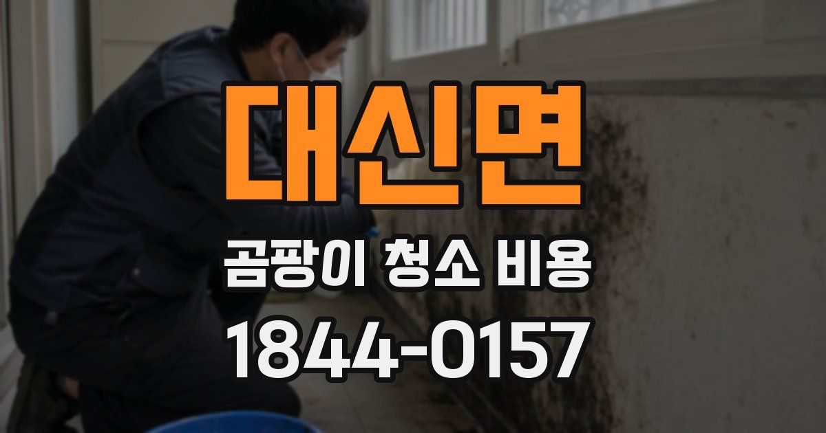 대신면 곰팡이 청소 비용