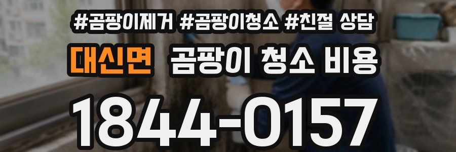 대신면 곰팡이 청소 비용