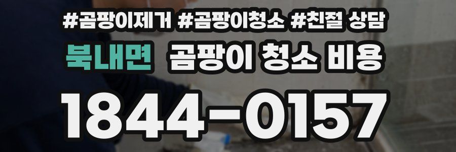 북내면 곰팡이 청소 비용