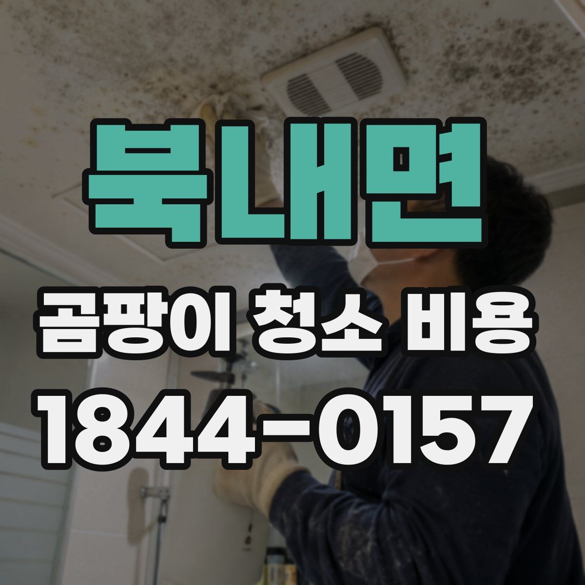 북내면 곰팡이 청소 비용