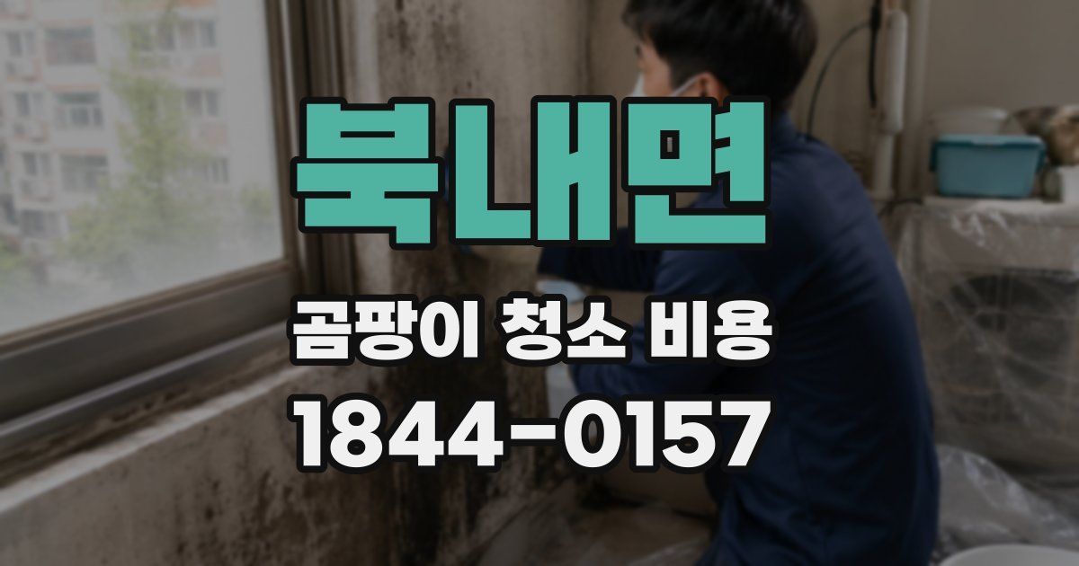 북내면 곰팡이 청소 비용
