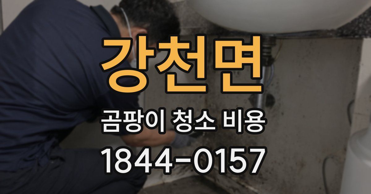 강천면 곰팡이 청소 비용