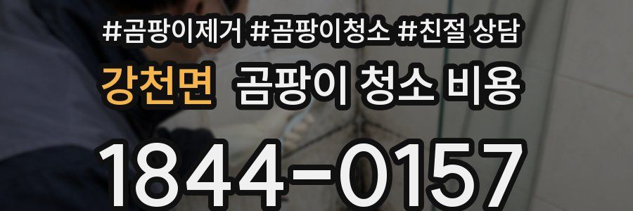 강천면 곰팡이 청소 비용