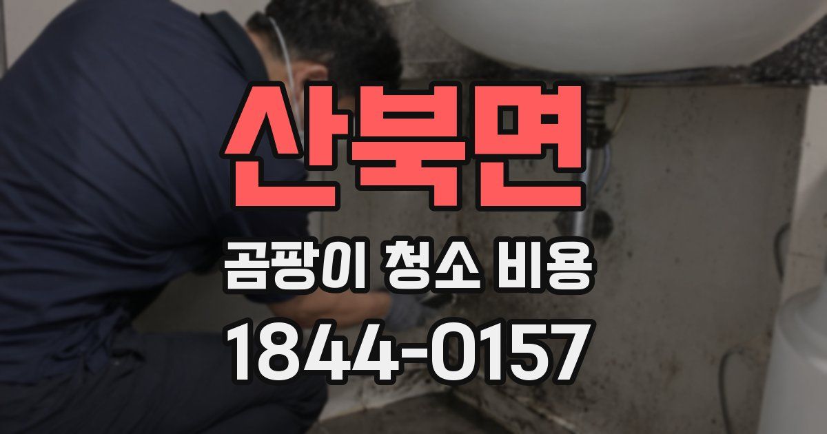 산북면 곰팡이 청소 비용