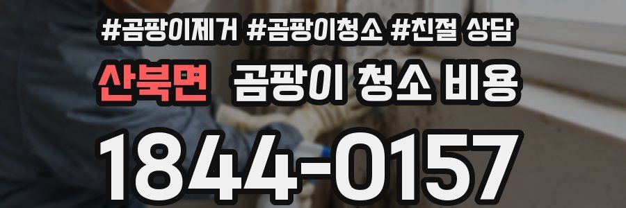 산북면 곰팡이 청소 비용