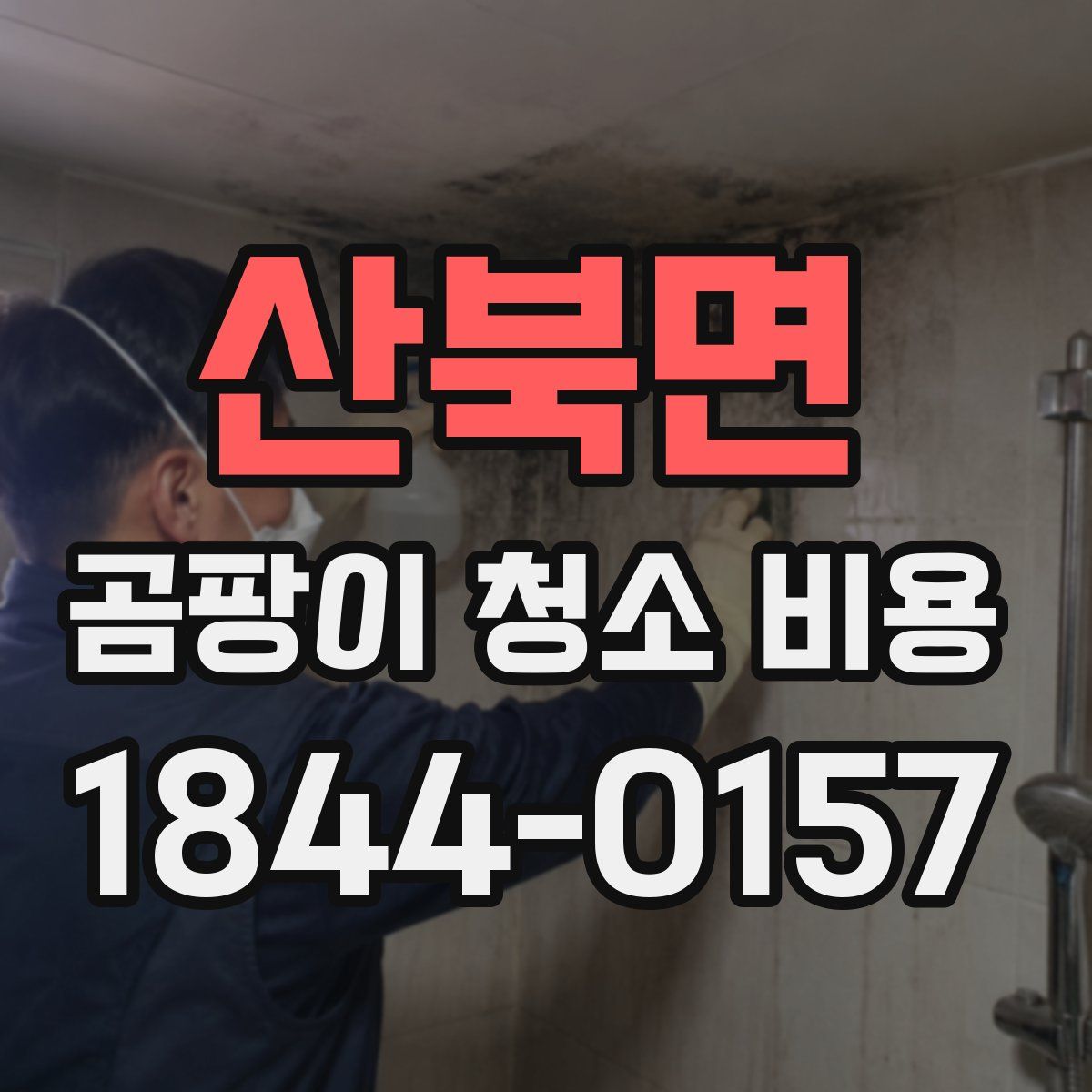 산북면 곰팡이 청소 비용