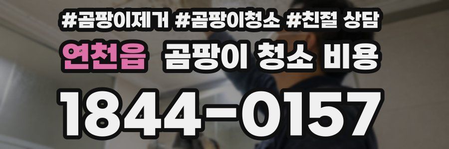 연천읍 곰팡이 청소 비용