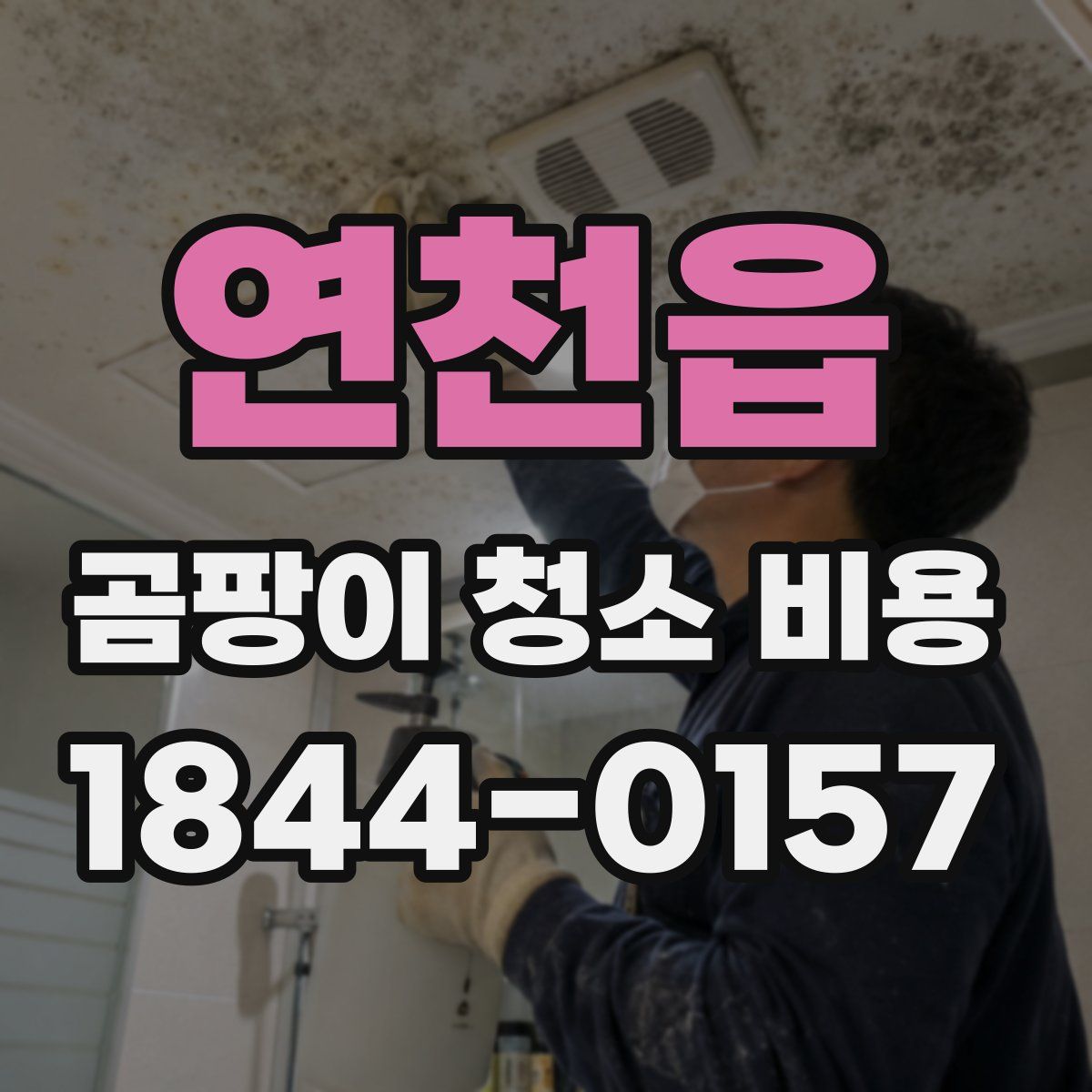 연천읍 곰팡이 청소 비용