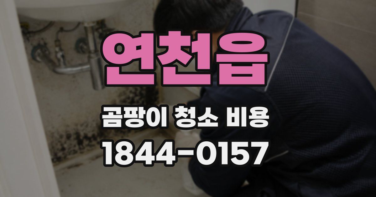 연천읍 곰팡이 청소 비용