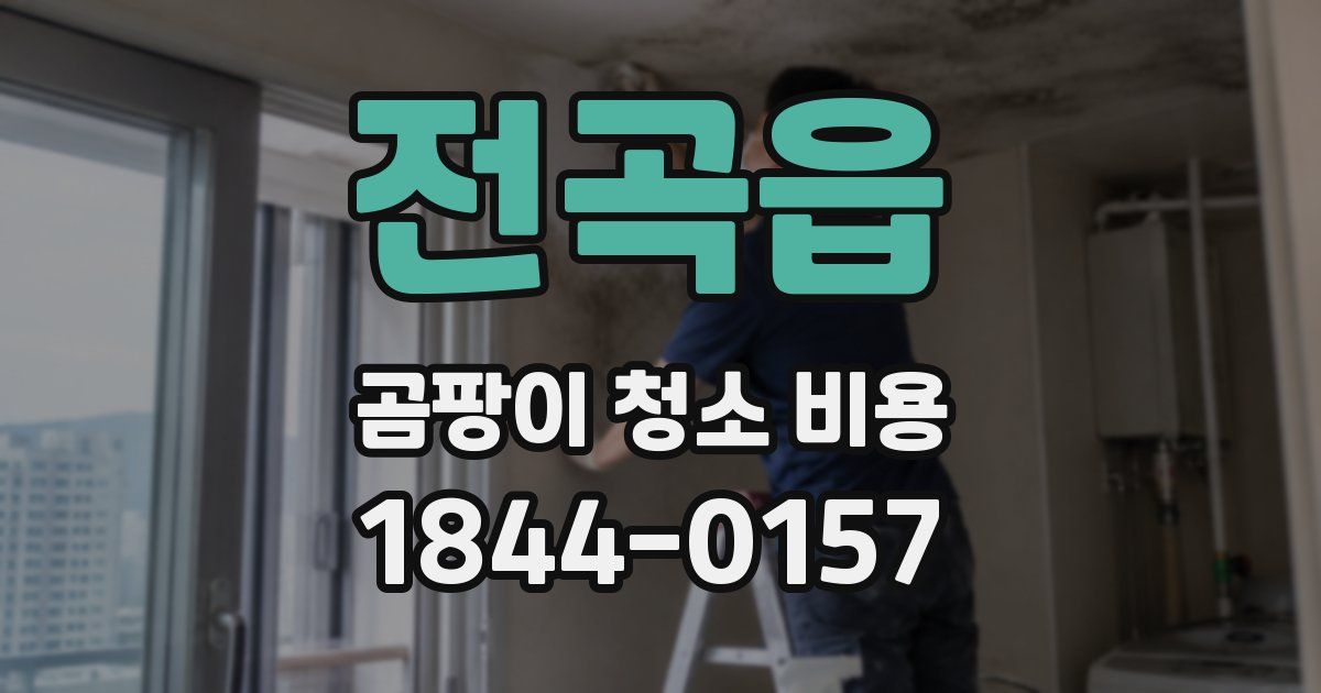 전곡읍 곰팡이 청소 비용