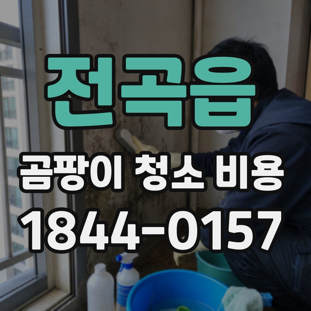 전곡읍 곰팡이 청소 비용