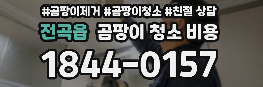 전곡읍 곰팡이 청소 비용