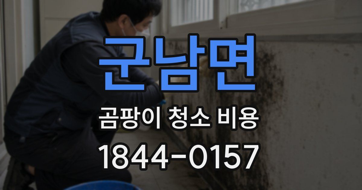 군남면 곰팡이 청소 비용