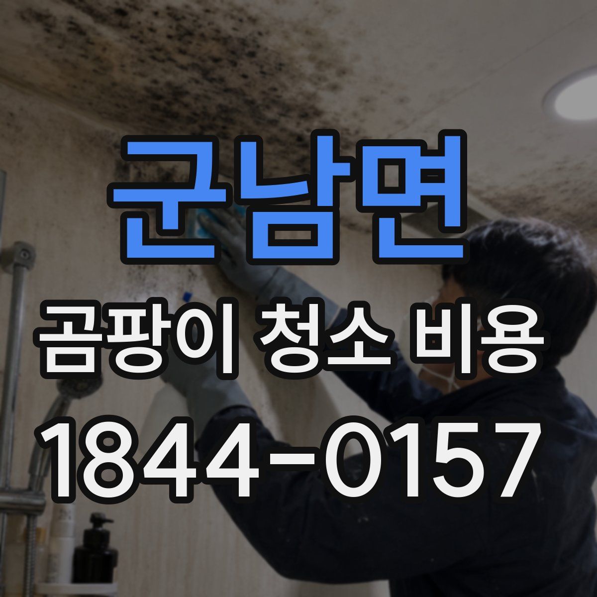 군남면 곰팡이 청소 비용