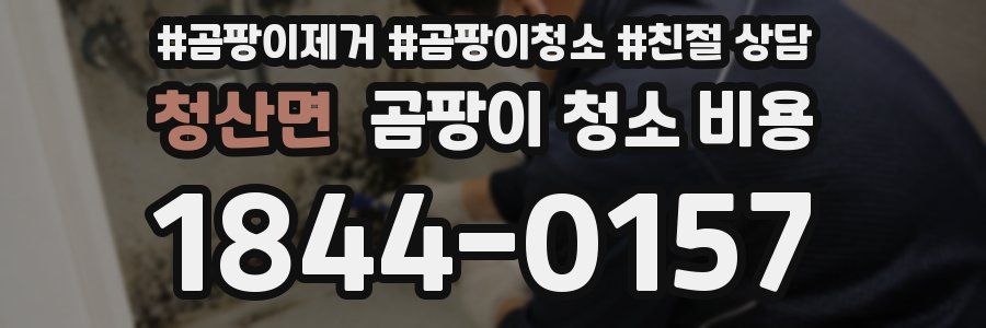 청산면 곰팡이 청소 비용