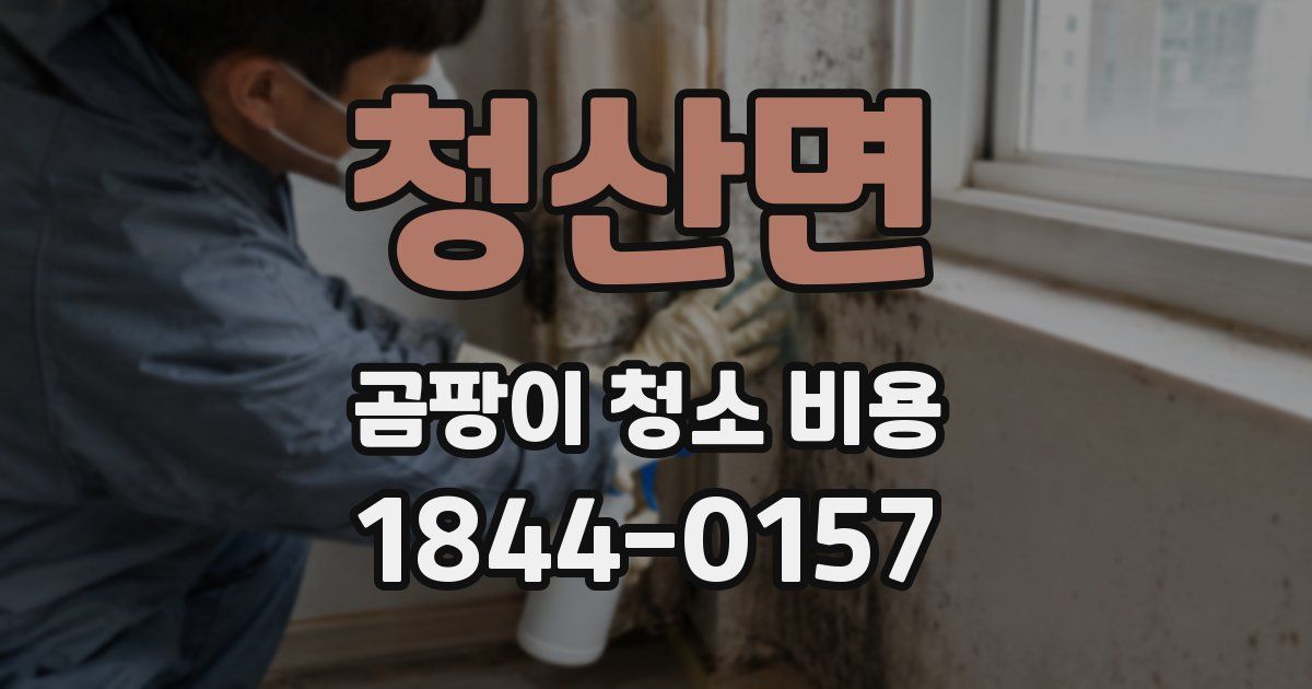 청산면 곰팡이 청소 비용