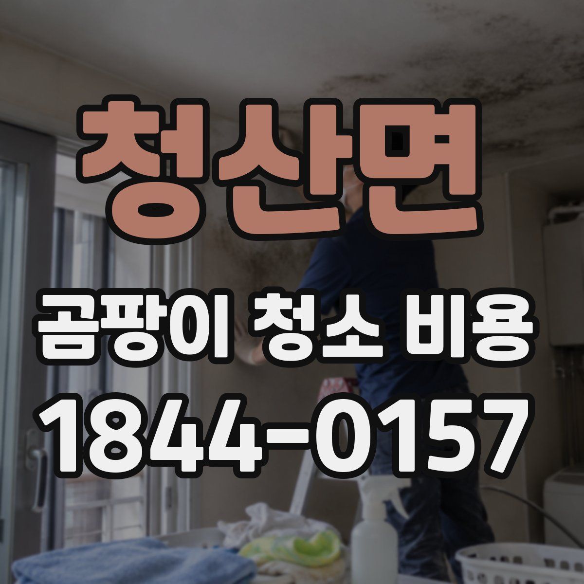 청산면 곰팡이 청소 비용